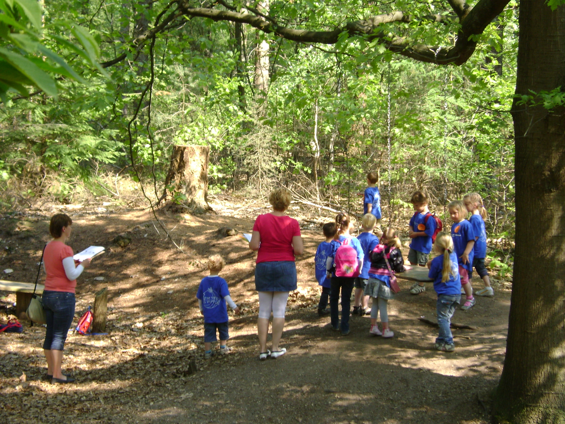 Een schoolgroep doet natuuropdrachten in het Bos van Daantje Das