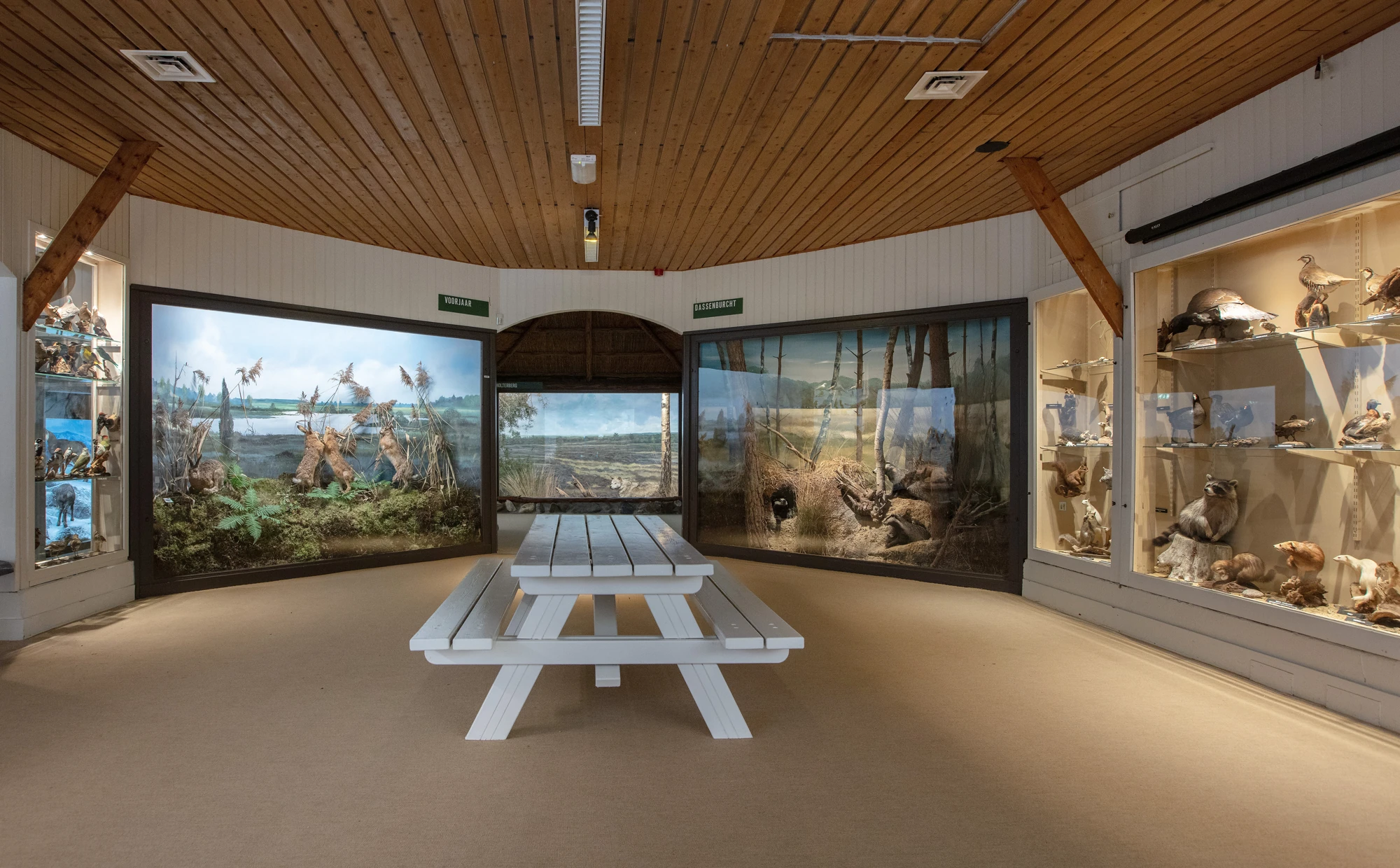 Ruimte om samen het museum te ontdekken