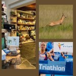 TRIATHLON 2025