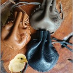 buidels met kuikentje